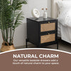 Modern Rattan 2-Draw Bedside Table - Black